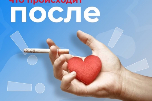  Что происходит с организмом после отказа от курения? 